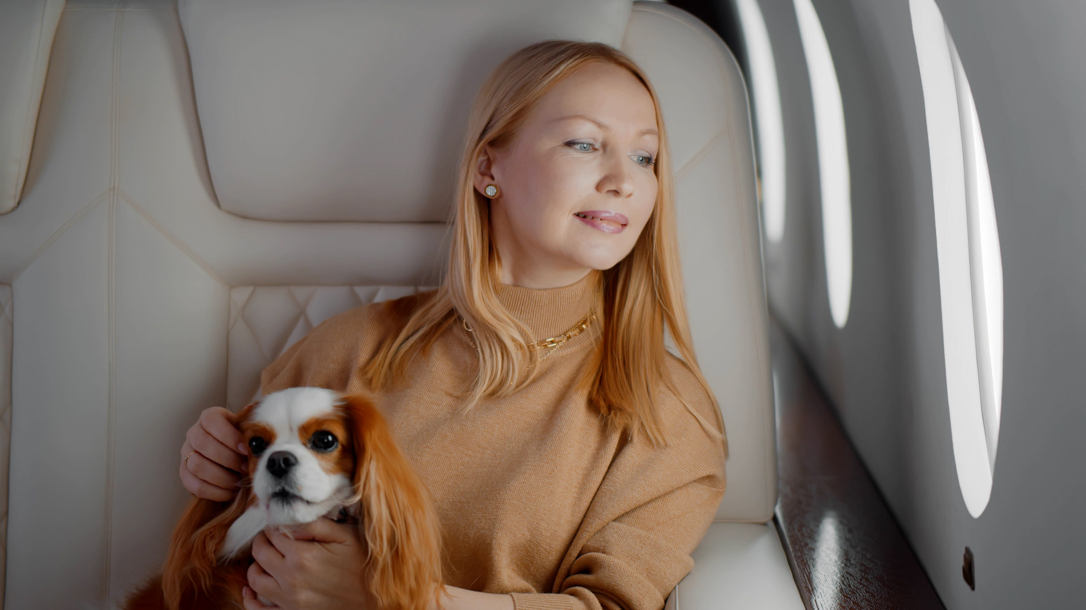 Pet sitting with its owner on a private jet flight